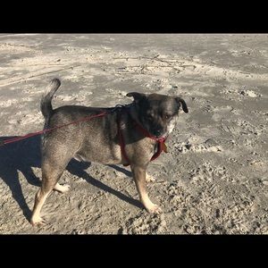 Meet your Posher, Anne